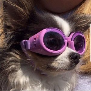 Meet your Posher, Dawn